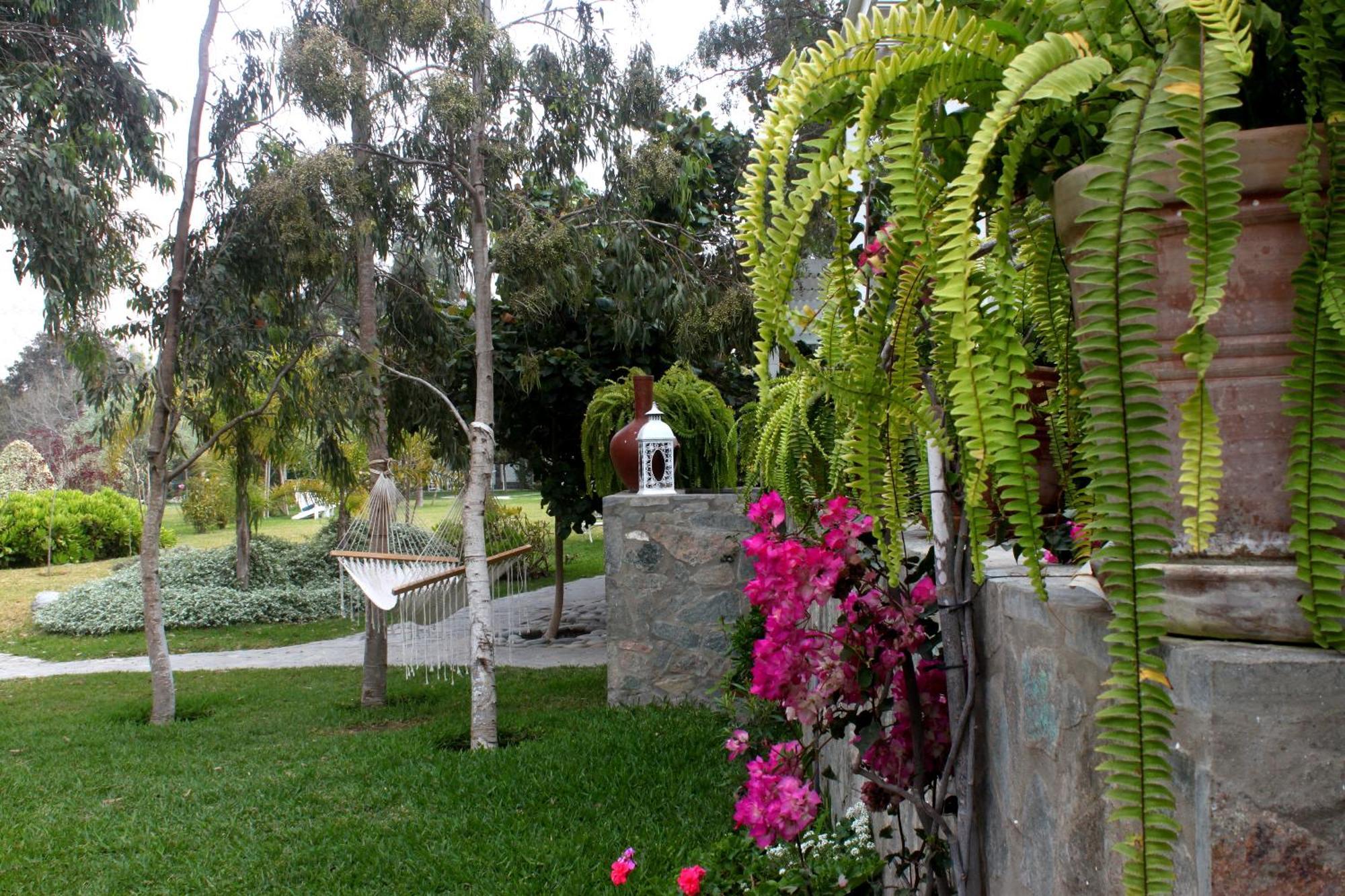 Hotel Los Palomos Lunahuana Exterior photo